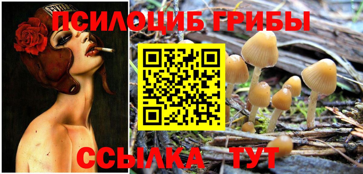 Псилоцибиновые грибы мухоморы Бузулук